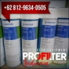 pentek gac carbon filter cartridge indonesia  medium